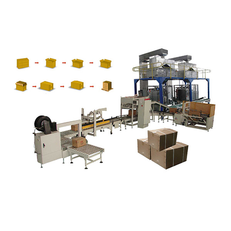 Bag carton case packer machine Secondary Packaging line